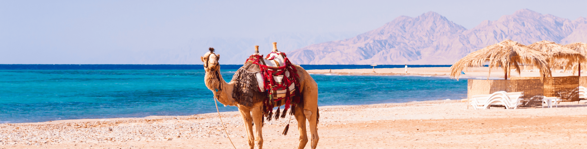 Egito com Cruzeiro pelo Nilo & Hurghada